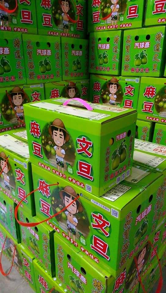 圖片